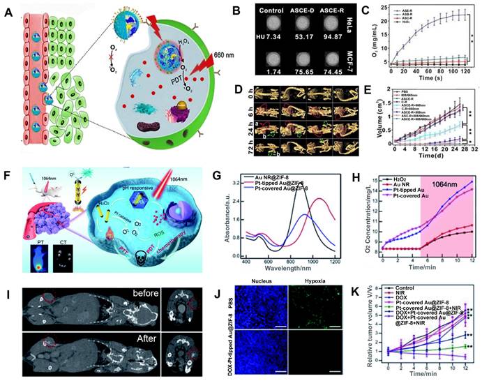 Theranostics Image