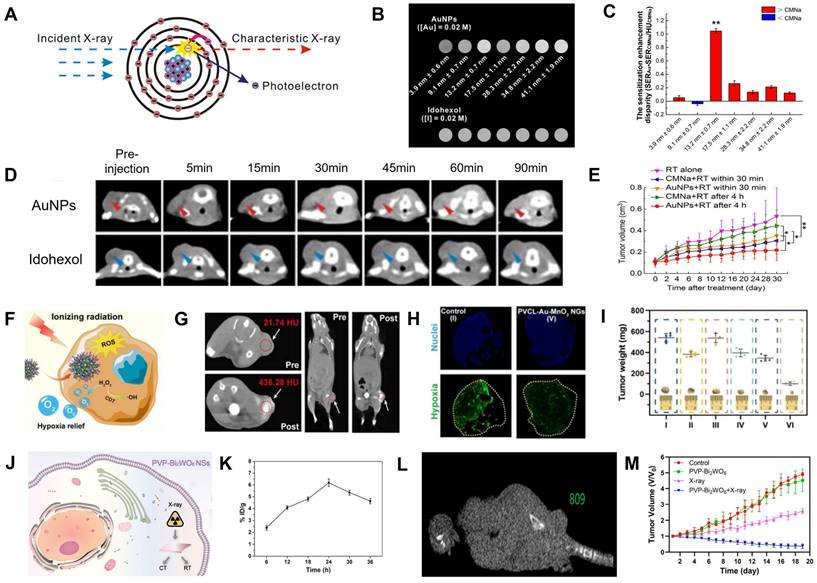 Theranostics Image