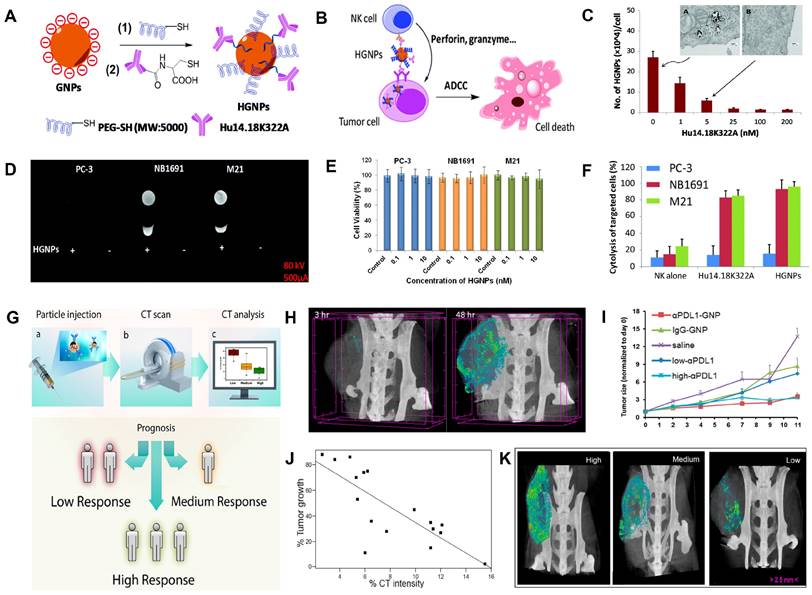 Theranostics Image