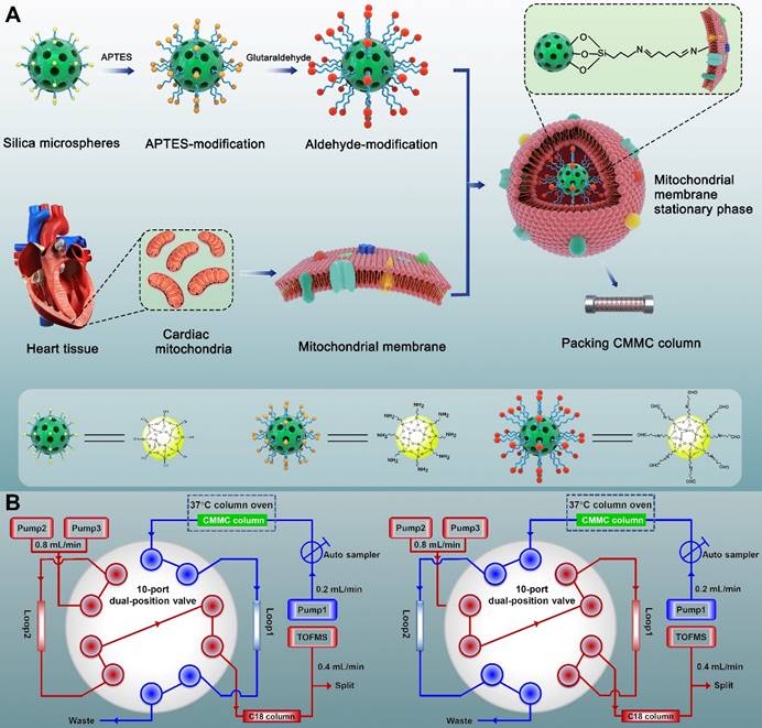 Theranostics Image