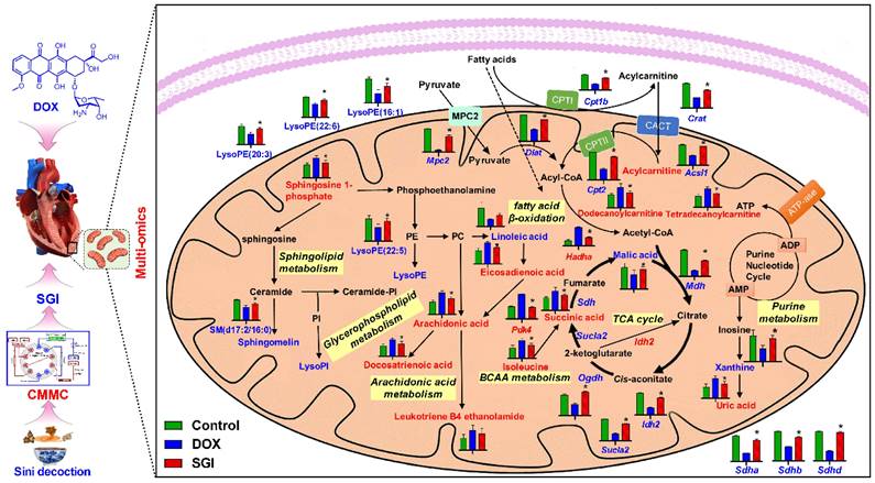 Theranostics Image