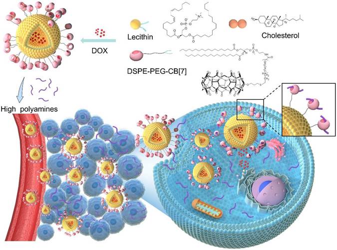 Theranostics Image