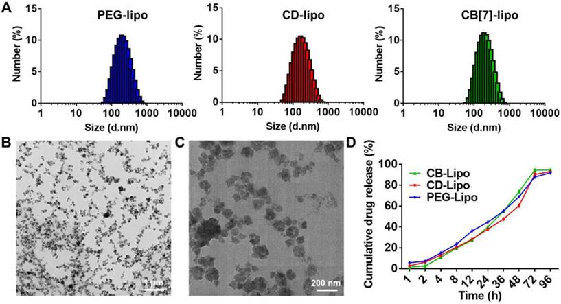 Theranostics Image