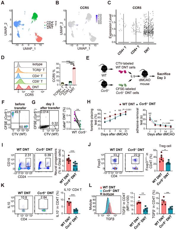 TCRαβ+NK1.1-CD4-CD8- double-negative T cells inhibit central and ...
