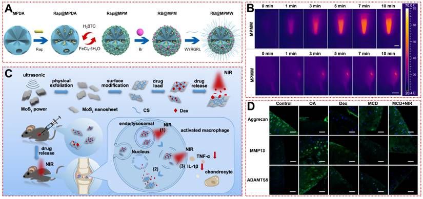 Theranostics Image