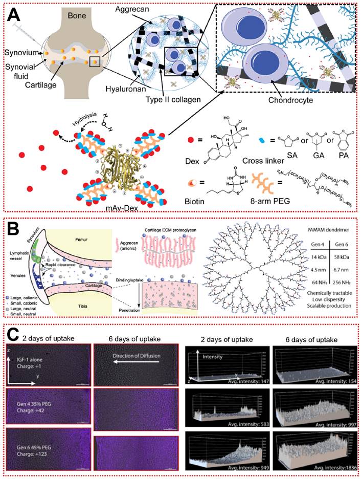 Theranostics Image