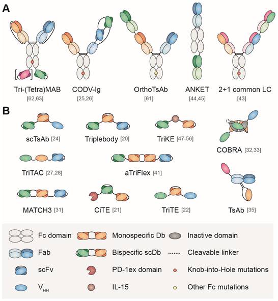 Theranostics Image