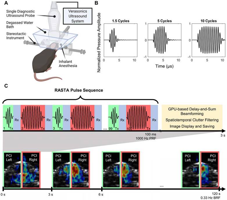 Theranostics Image