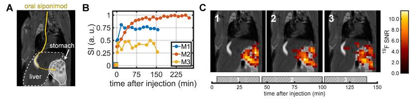 Theranostics Image