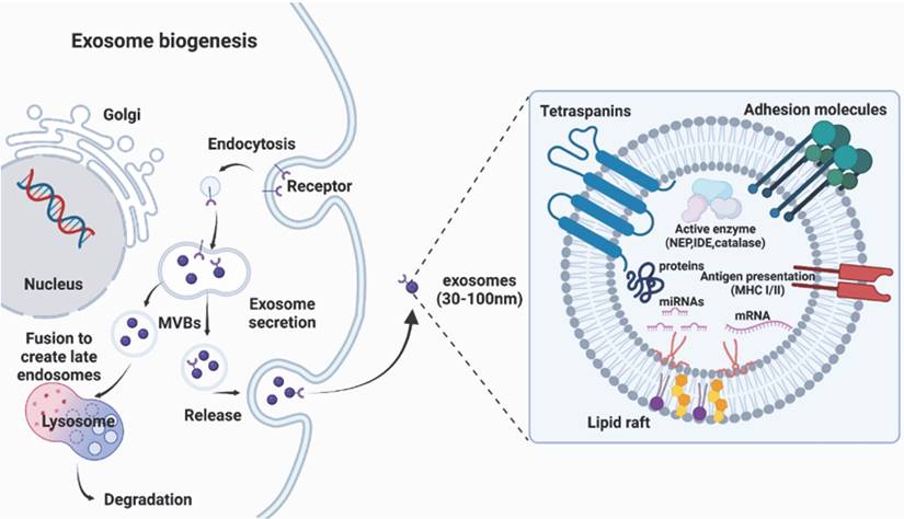 Theranostics Image