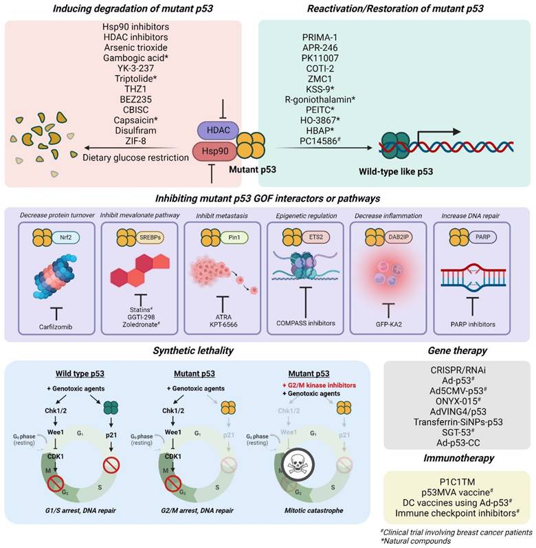 Theranostics Image