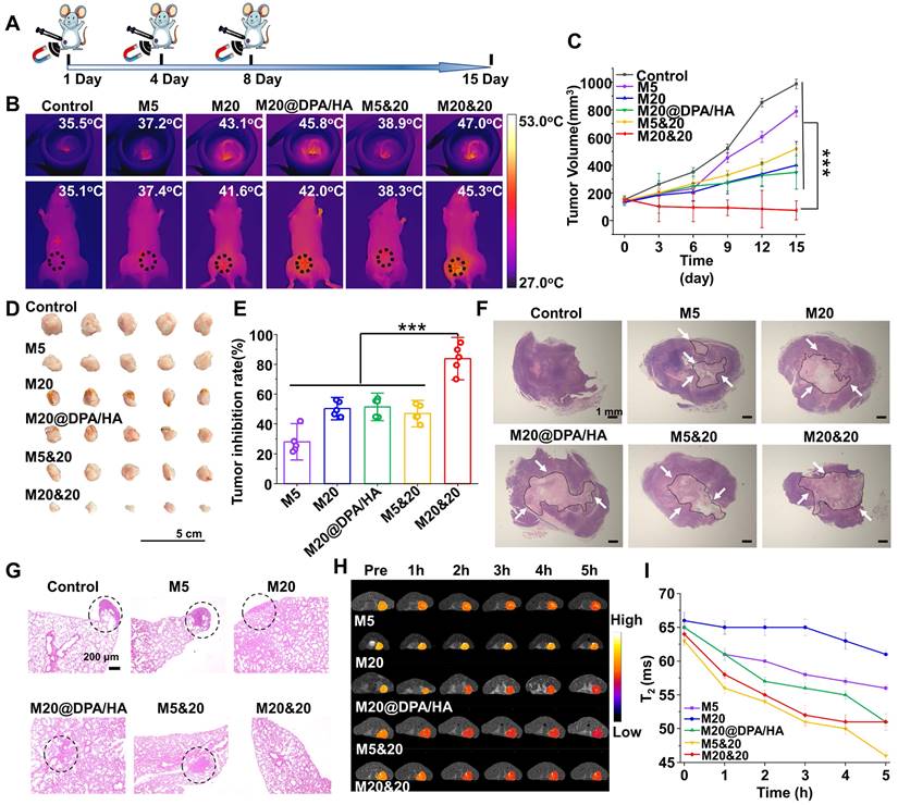 Theranostics Image