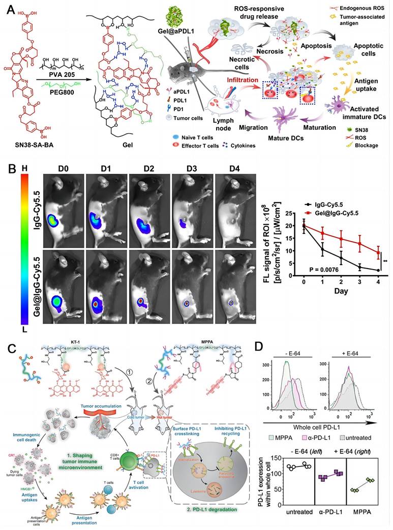 Theranostics Image