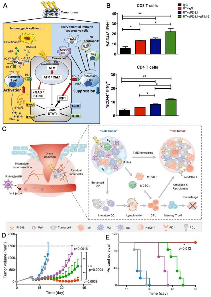 Theranostics Image