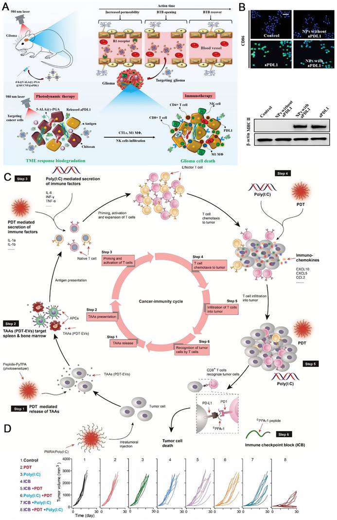 Theranostics Image