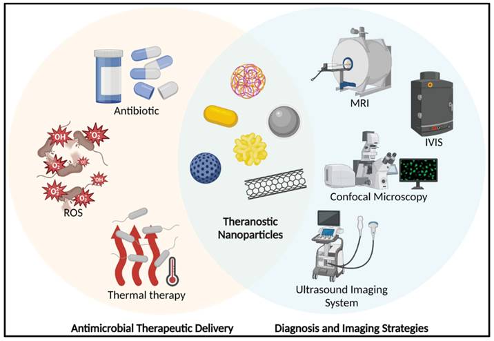 Theranostics Image