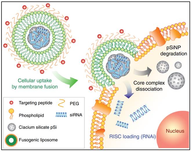 Theranostics Image