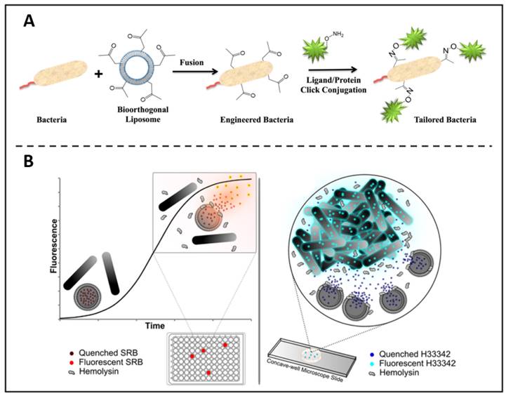 Theranostics Image