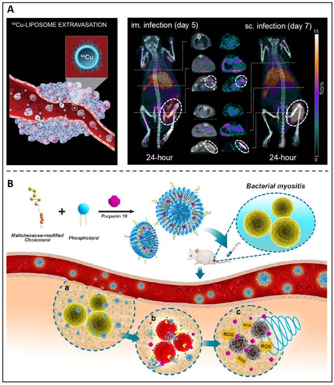 Theranostics Image