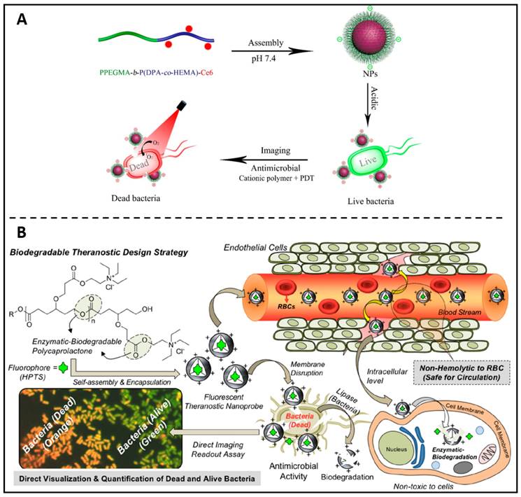 Theranostics Image