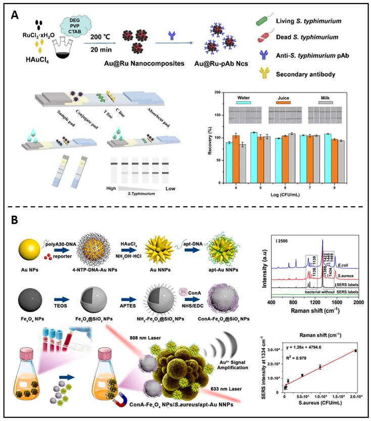 Theranostics Image