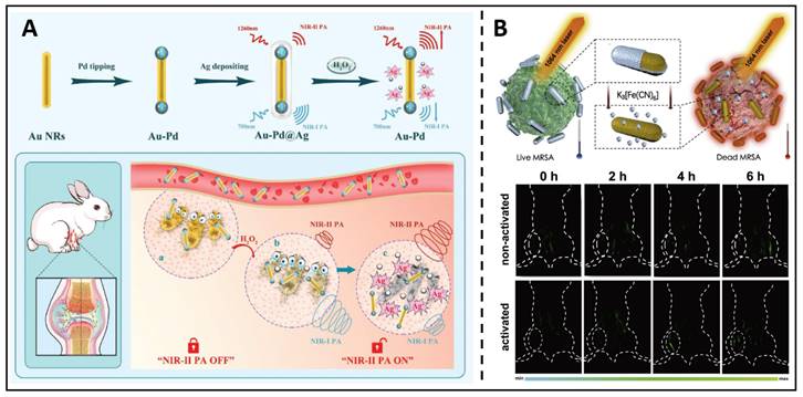 Theranostics Image