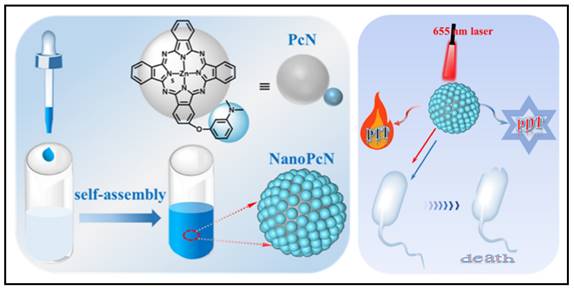 Theranostics Image