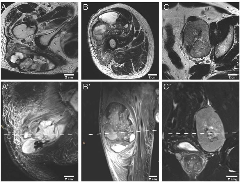 Theranostics Image