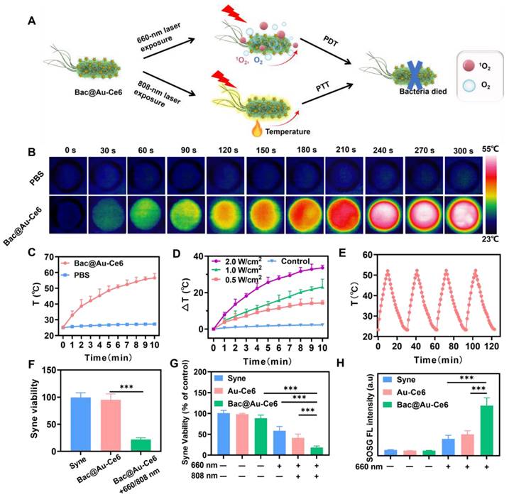 Theranostics Image