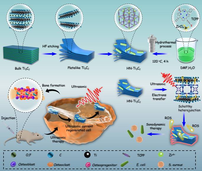 Theranostics Image