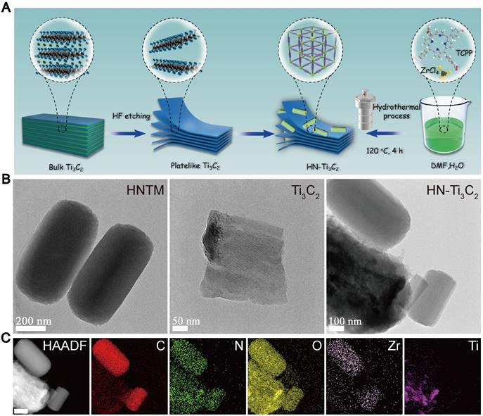 Theranostics Image