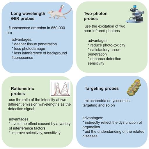 Theranostics Image