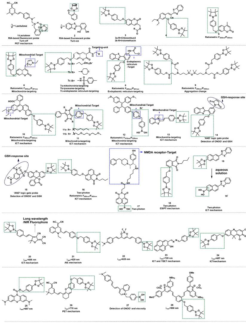 Theranostics Image