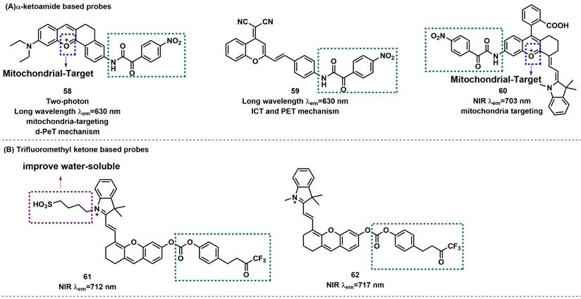 Novel Boronate Probe Based on 3-Benzothiazol-2-yl-7-hydroxy-chromen