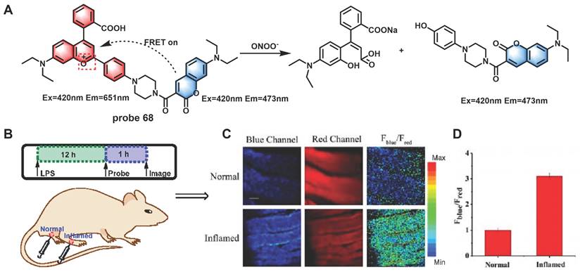 Theranostics Image