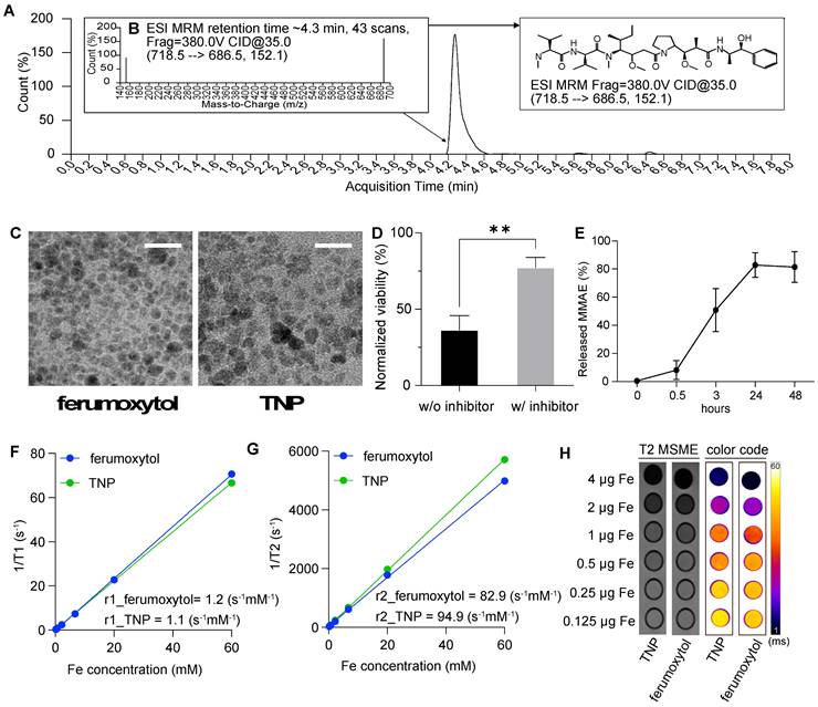 Theranostics Image