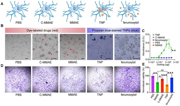 Theranostics Image