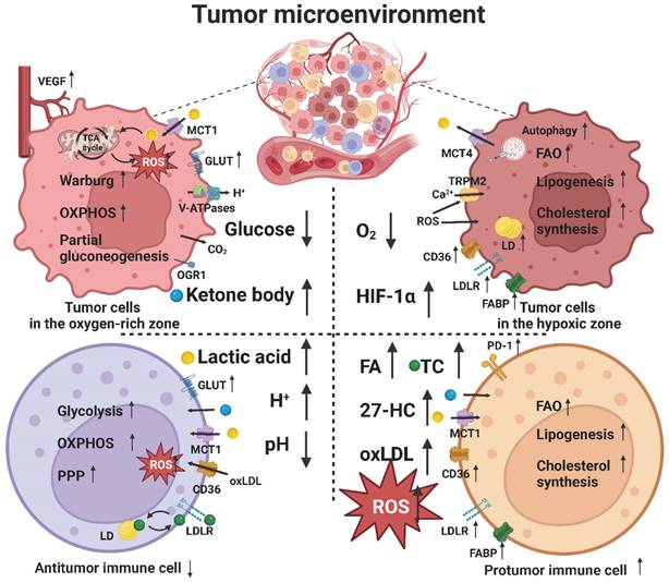 Theranostics Image