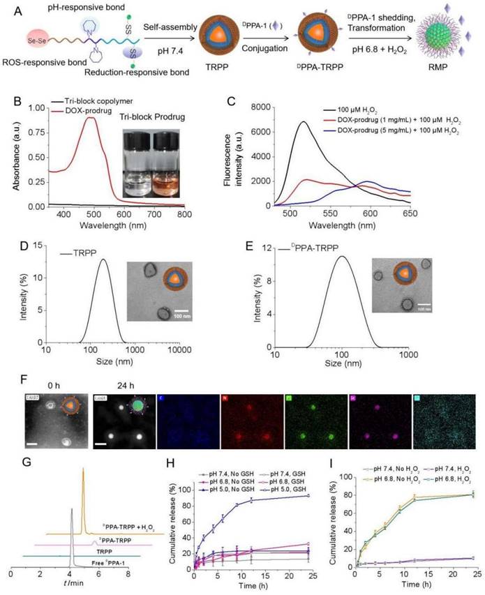 Theranostics Image