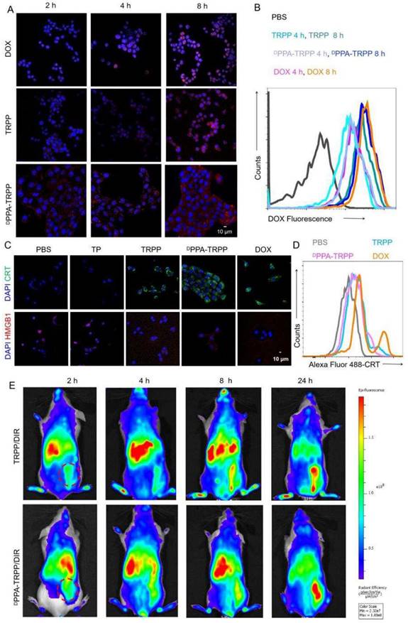 Theranostics Image