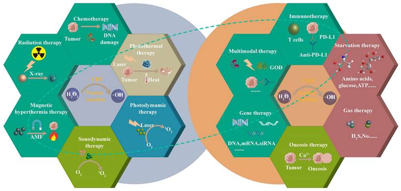 Theranostics Image