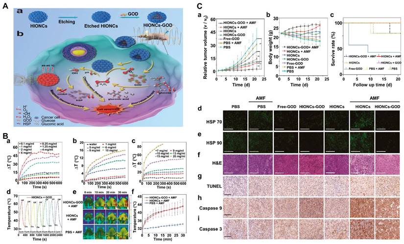 Theranostics Image