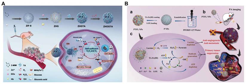 Theranostics Image