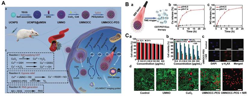 Theranostics Image