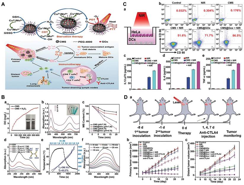 Theranostics Image