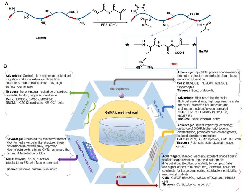 Theranostics Image