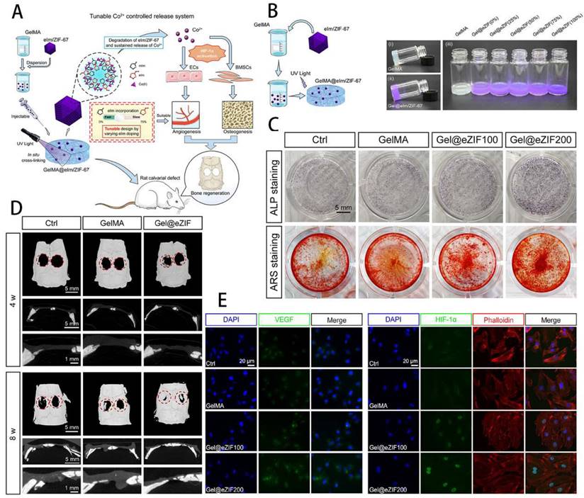 Theranostics Image