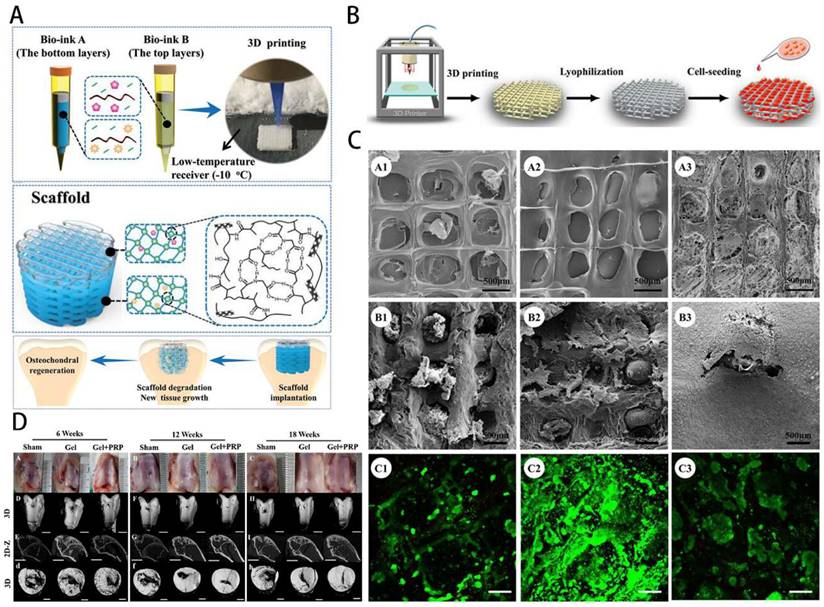 Theranostics Image