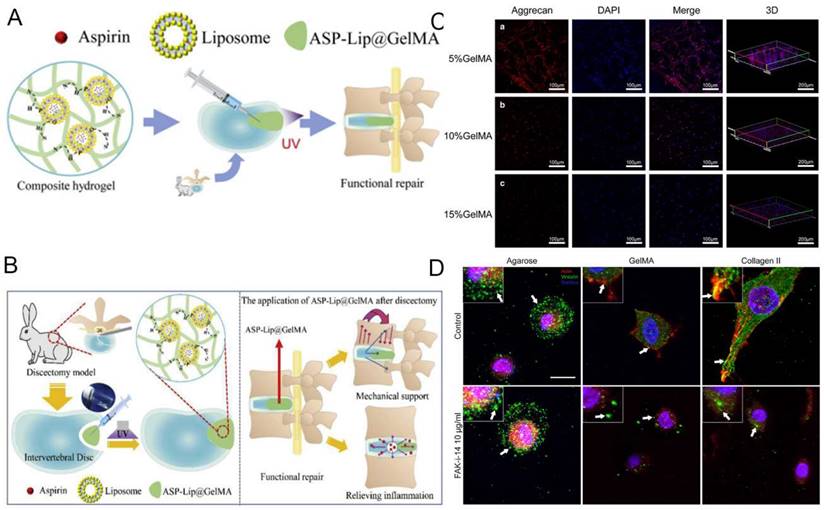 Theranostics Image