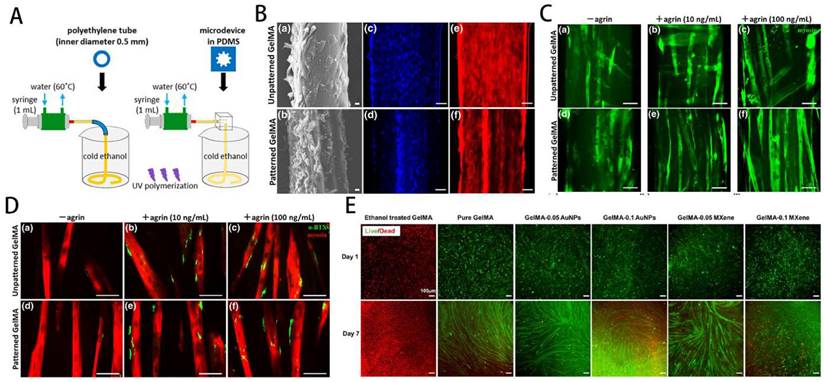 Theranostics Image